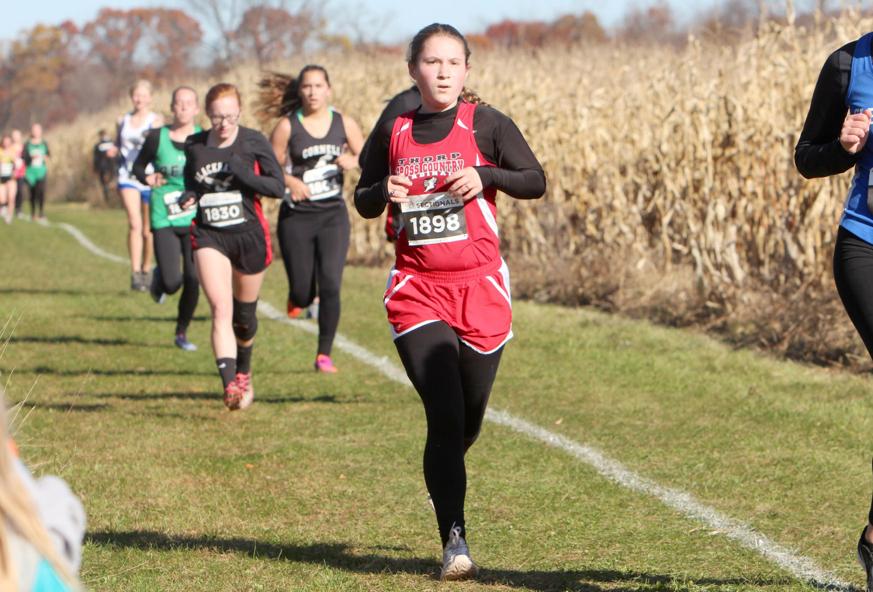 Division 3 Cross Country Sectionals in Boyceville 10-26-19
